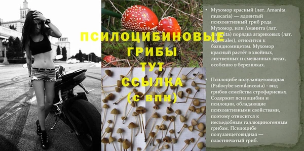 MDMA Белокуриха
