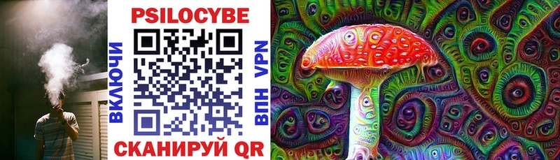 Псилоцибиновые грибы MAGIC MUSHROOMS  Циолковский 